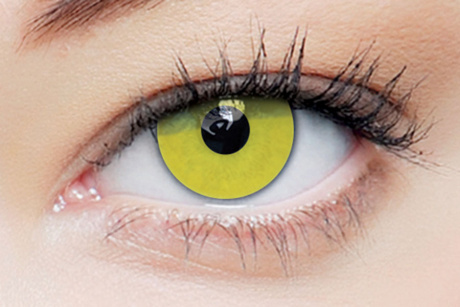 Clearcolor 1day phantom Zombie Yellow Clearlab Crazy daily disposable contact lenses